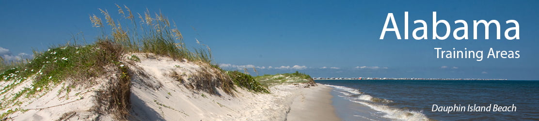 Alabama childcare training categories banner