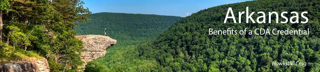Image for State of Arkansas