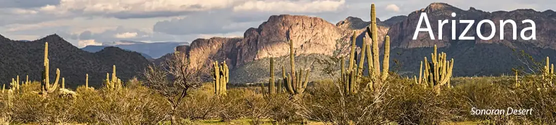 Image for the State of Arizona