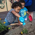 Image of Children Gardening